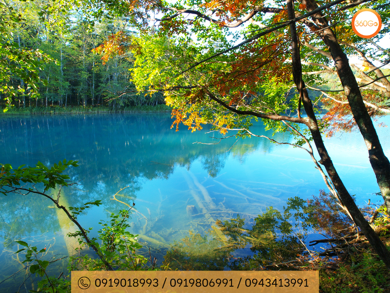 Khám phá mùa thu Hokkaido - Du lịch 360Go